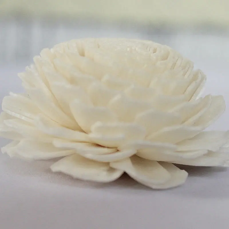 sola flowers bulk