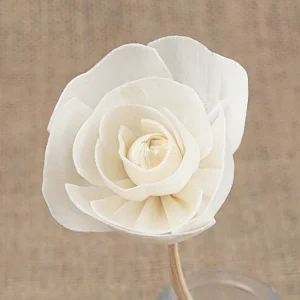 sola flowers wedding