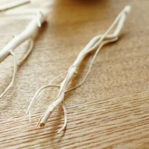 curly willow branches