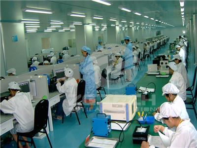 Multimode Fiber Optic Patch Cord