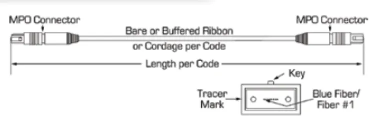 12 Core MPO To MPO Ribbon Patch Cable