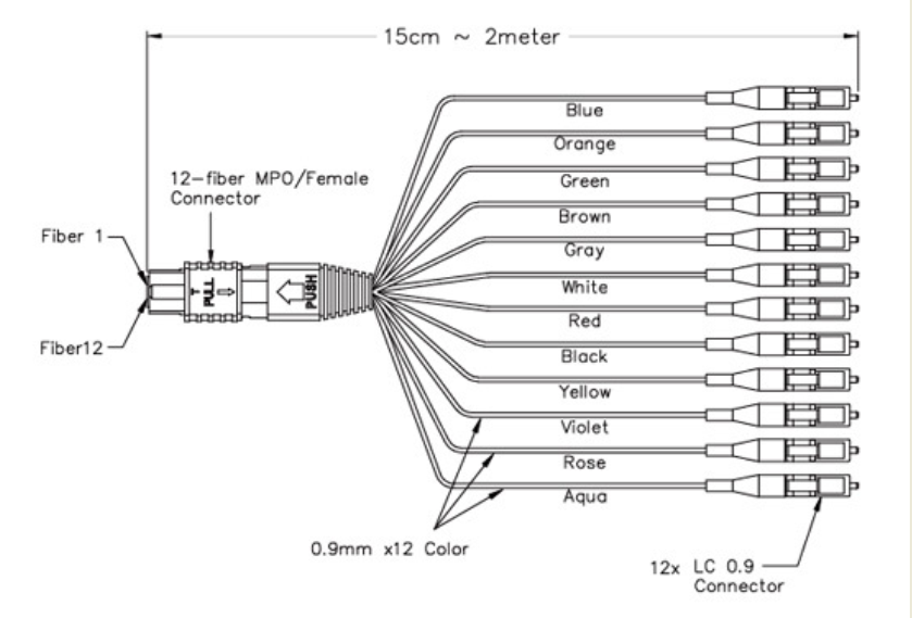 MPO MTP Fan-Out Patch Cord