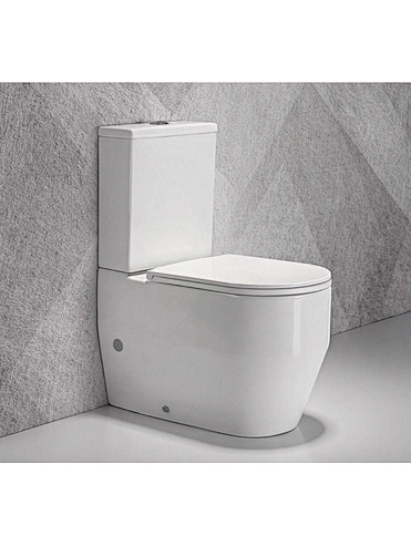 Quality washdown two-piece toilet Bathroom WC-862 Series
