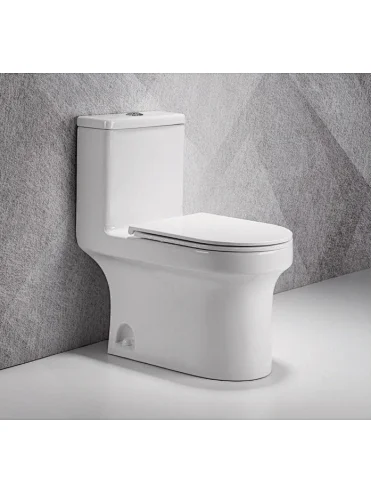 Simple Fashion Black Color Bathroom Ceramic Wash Down One Piece Wc P-trap/s-trap Toilet Bowl-5596 Series