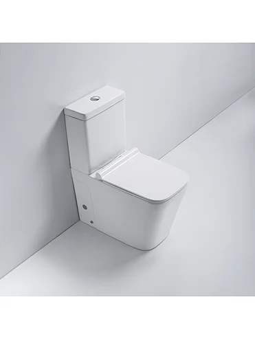 Hot selling modern Ceramic Washdown Two Piece Toilet-867 Series