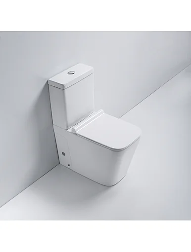 Wash Down Two Piece Toilet P-trap S-trap Dual Flushing Rimless Toilet