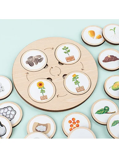 Montessori Wooden Plant And Animal Life Cycle leemoland