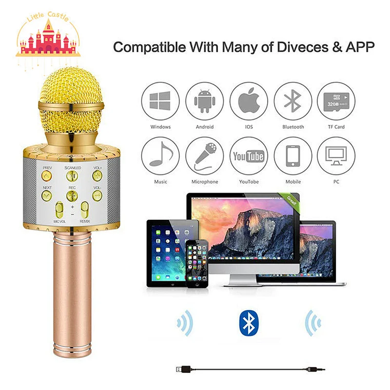 Popular Home Party Handheld Portable Karaoke Microphone With LED Lights SL07C008