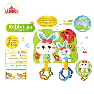 2 In 1 Baby Educational Rabbit Plastic Double Projection Toy With Light Music SL01A518