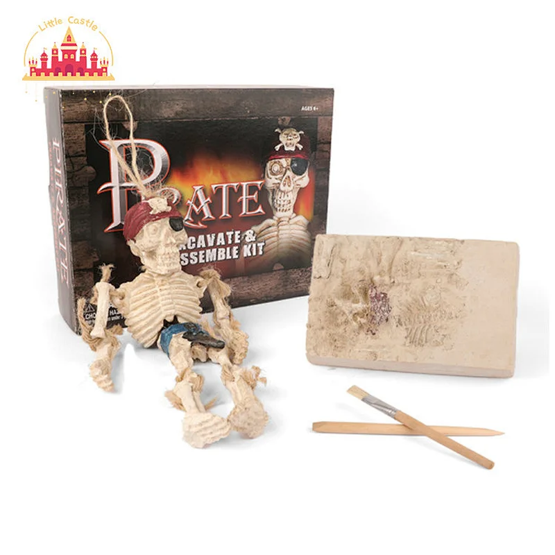 DIY Archeology Pirate Skeleton Dig Kit Educational Science Toy For Kids SL17A095