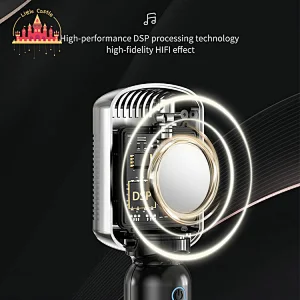 Customize Handheld Wireless Portable Karaoke Microphone KTV Mic Speaker SL07C005