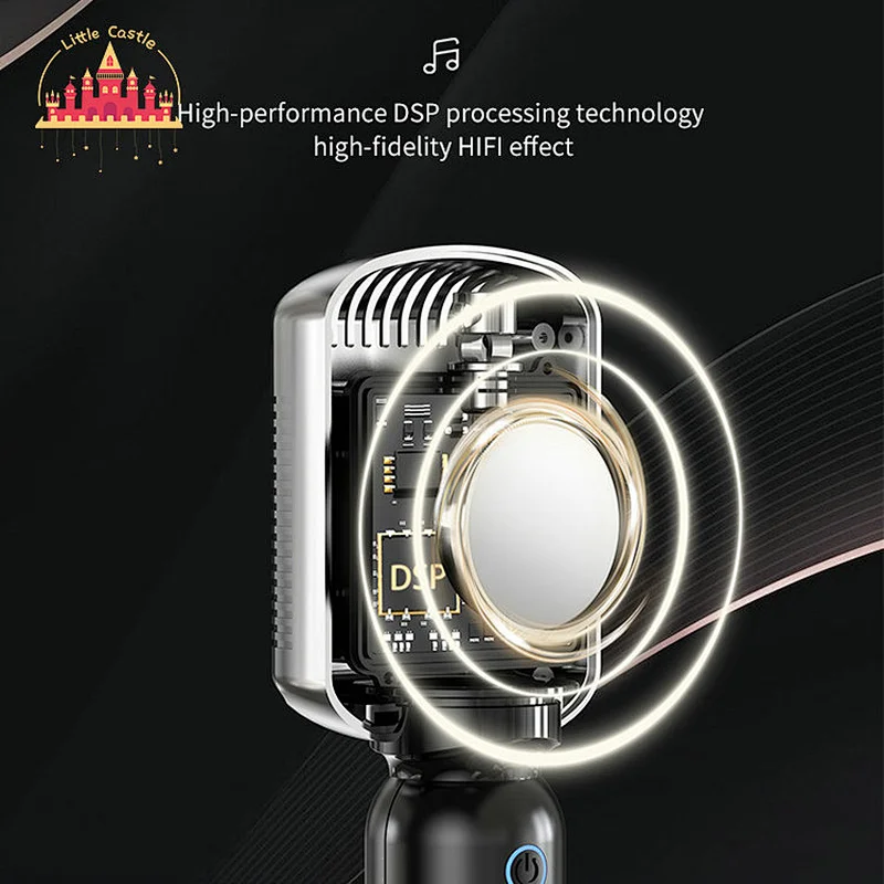 Customize Handheld Wireless Portable Karaoke Microphone KTV Mic Speaker SL07C005