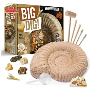 New Design DIY Science Educational Toy Pirate Excavation Set For Kids SL17A091