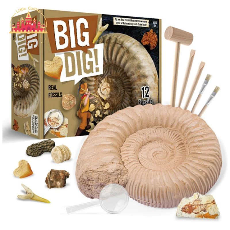 New Design DIY Science Educational Toy Pirate Excavation Set For Kids SL17A091