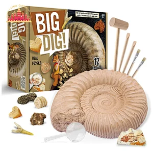 Science Archaeology Mining Toy Heart stone Excavation Set For Kids SL17A089