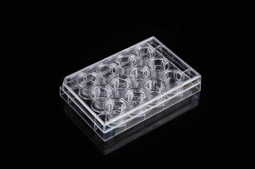 96 well Flat bottom Cell Culture Plates Yongkang Medical