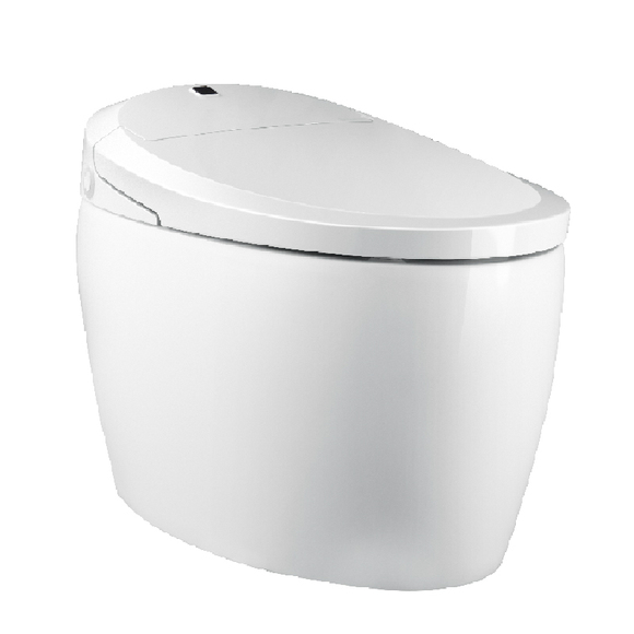 smart toilet S-trap