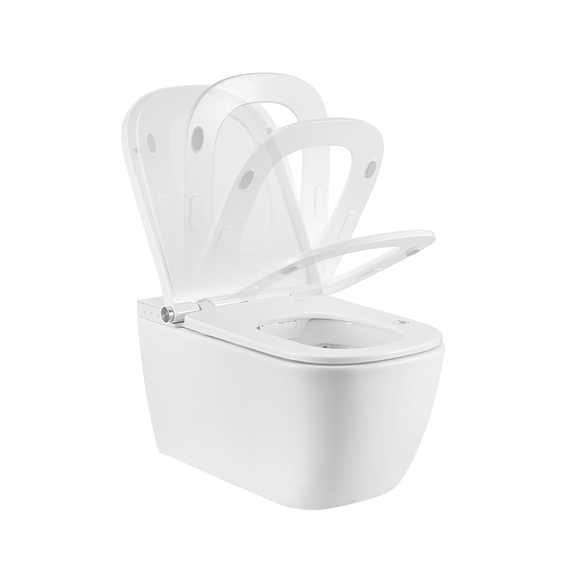clogged toilet