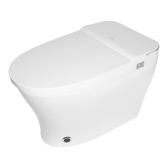 toilet bidet