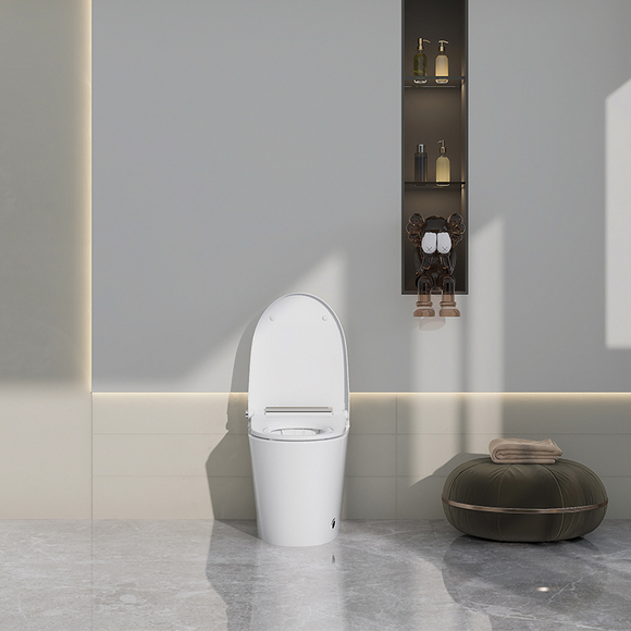 intelligent toilet