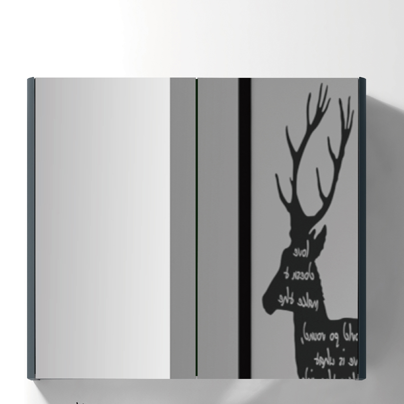 mirror cabinet