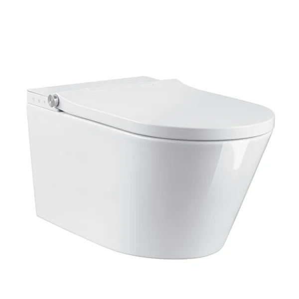 smart toilet
