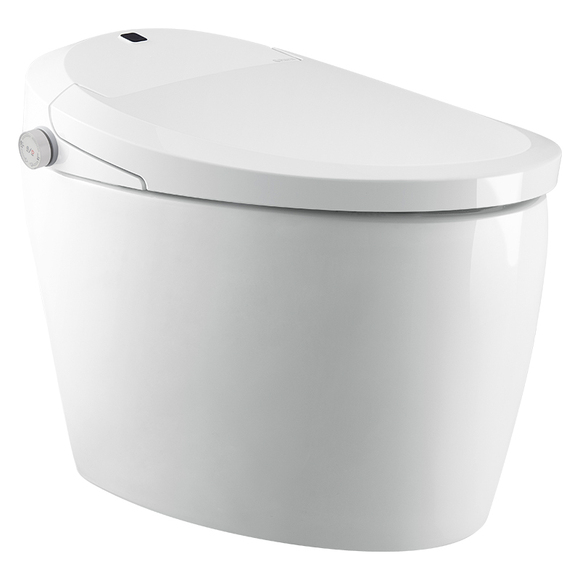 automatic toilet
