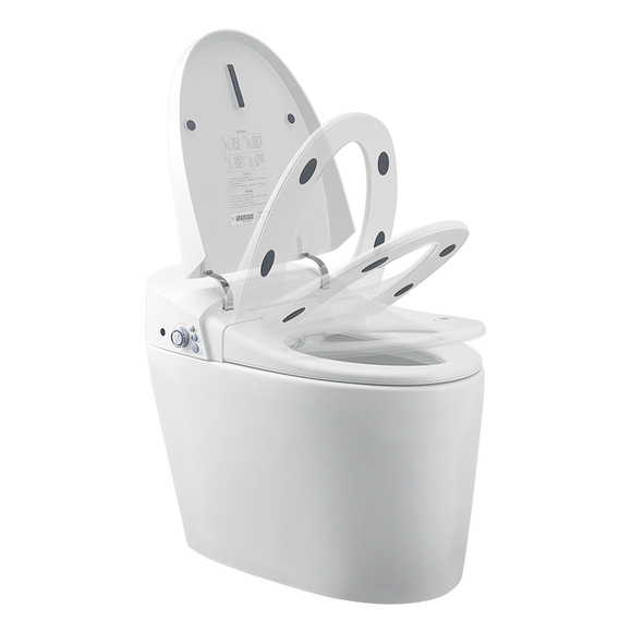 sanitary ware toilet