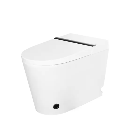 Ceramic Intelligent Toilet