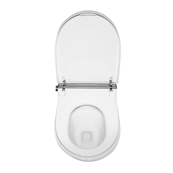 rimless toilet