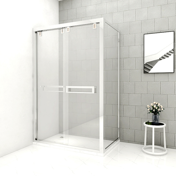 Tempered Glass Shower Door