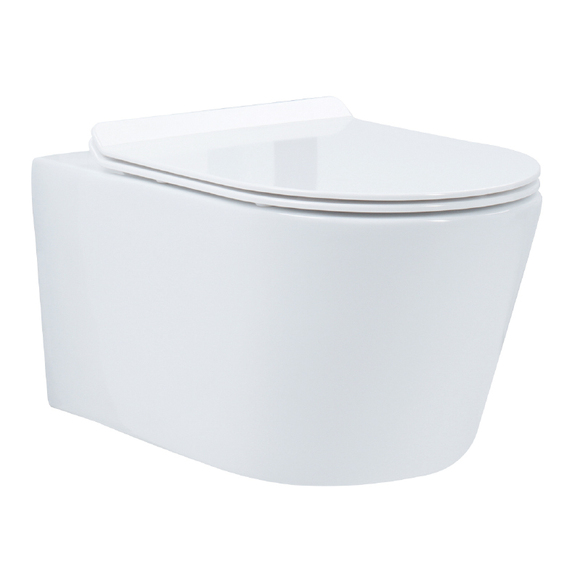 wall hung toilet