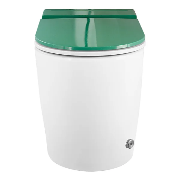 wall mounted commode