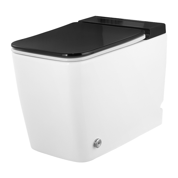 commode toilet