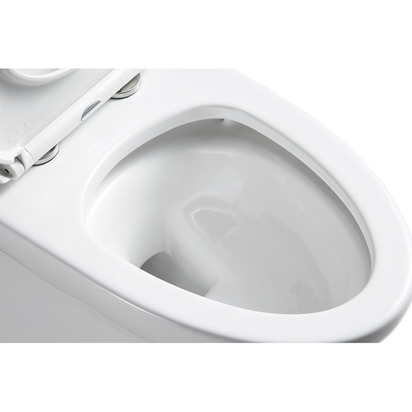 rimless toilet