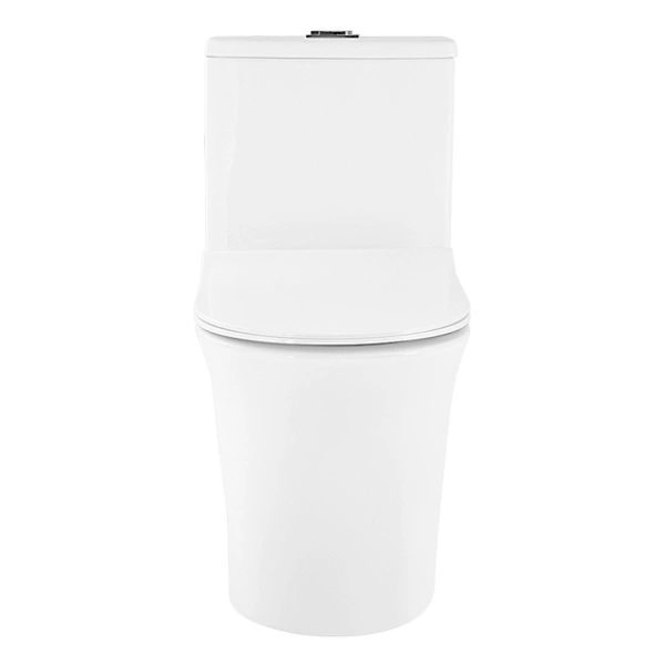 rimless toilet