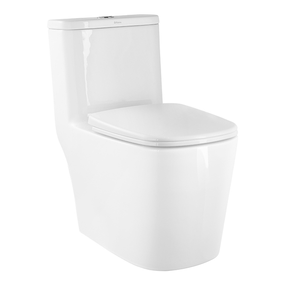 best flushing toilet