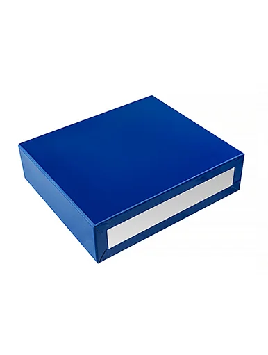 Lithium Battery Cell