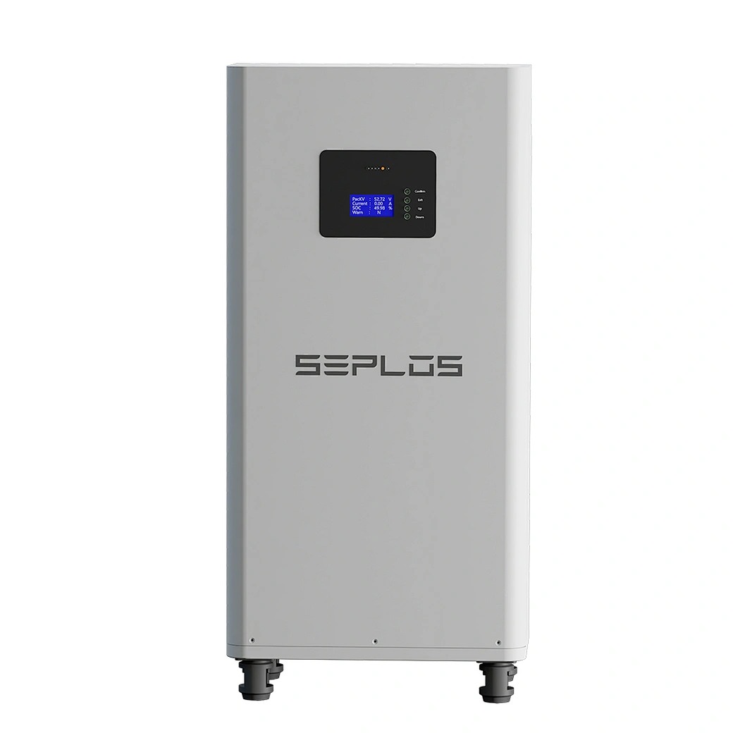 lifepo4 48v battery pack manufacturer - Seplos Technology