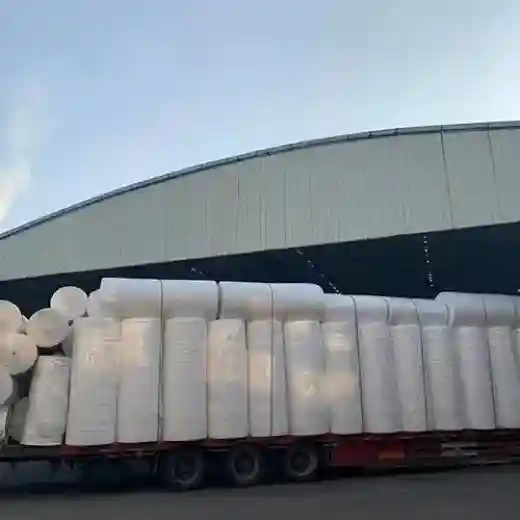 virgin wood pulp mother roll_4