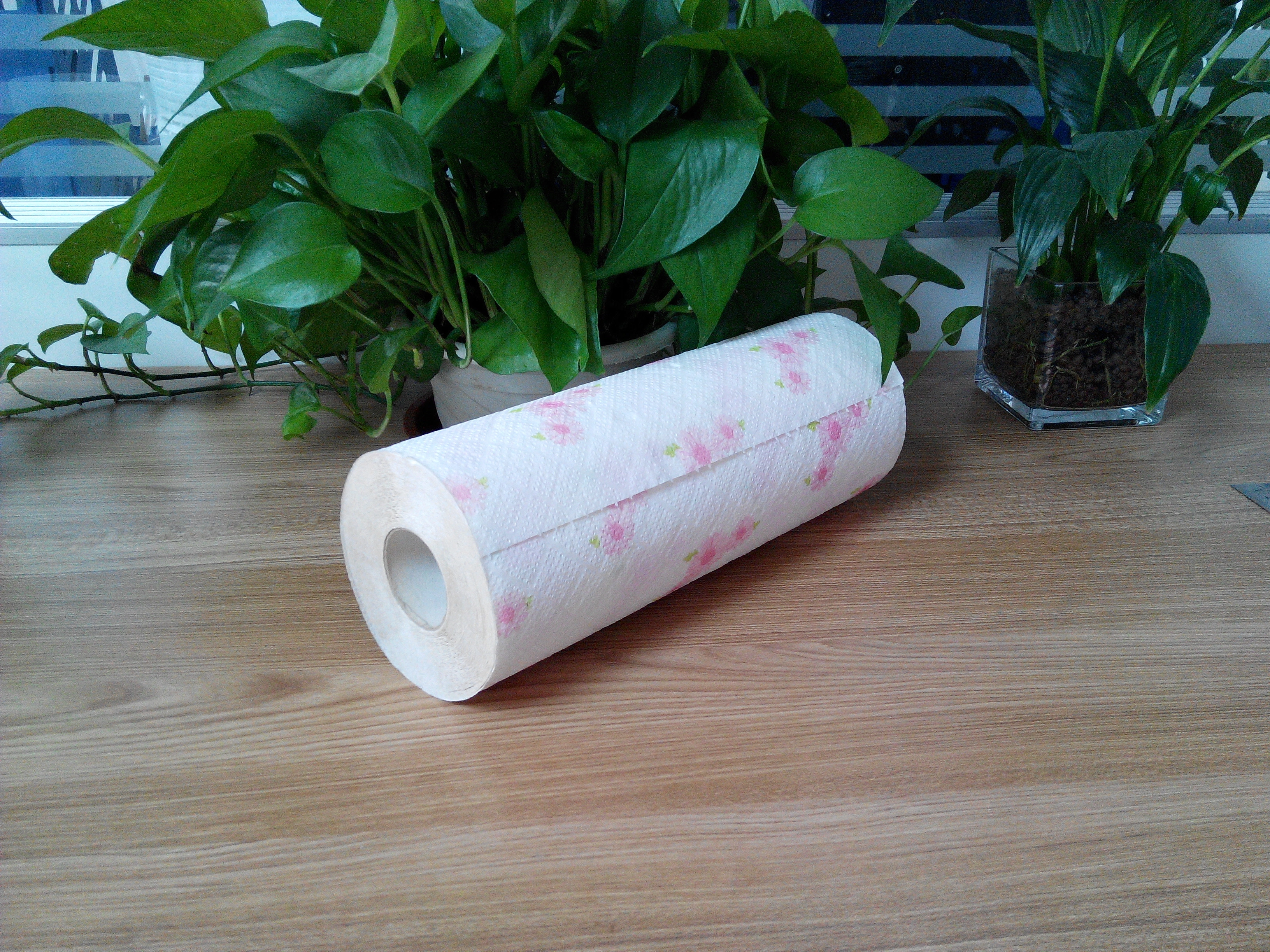 Full Embossed Individually Wrapped Kitchen Towel Paper Wholesale_8