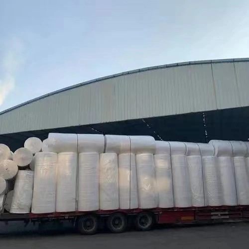 virgin wood pulp mother roll_2