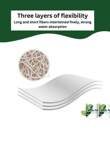 High Quality Individually Wrapped Biodegradable Tissue Toilet Paper_3