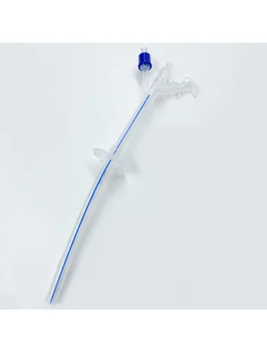 gastrostomy tube