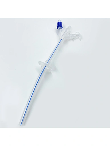 gastrostomy tube