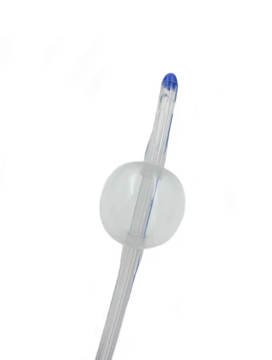 foley catheter