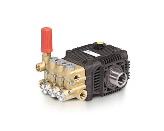 PBM 8-19LPM 100Bar Water Plunger Pump