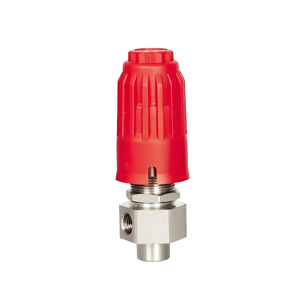 plunger pump safety relief valve