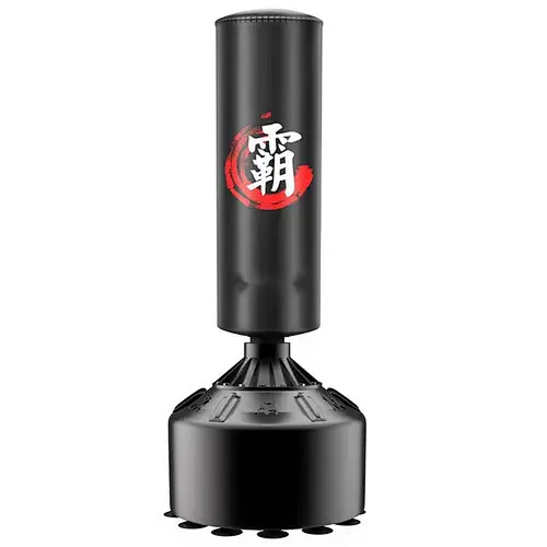 Stand Up Punching Bag