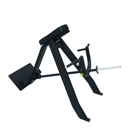 Incline Level Row | Union Max Fitness
